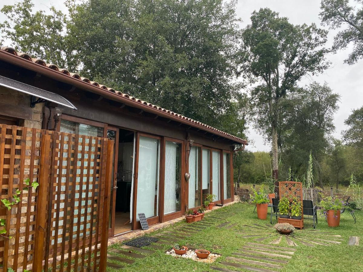 The Old Watermill Retreat - O Retiro Da Azenha Velha Apartamento Vila Nova de Poiares Exterior foto