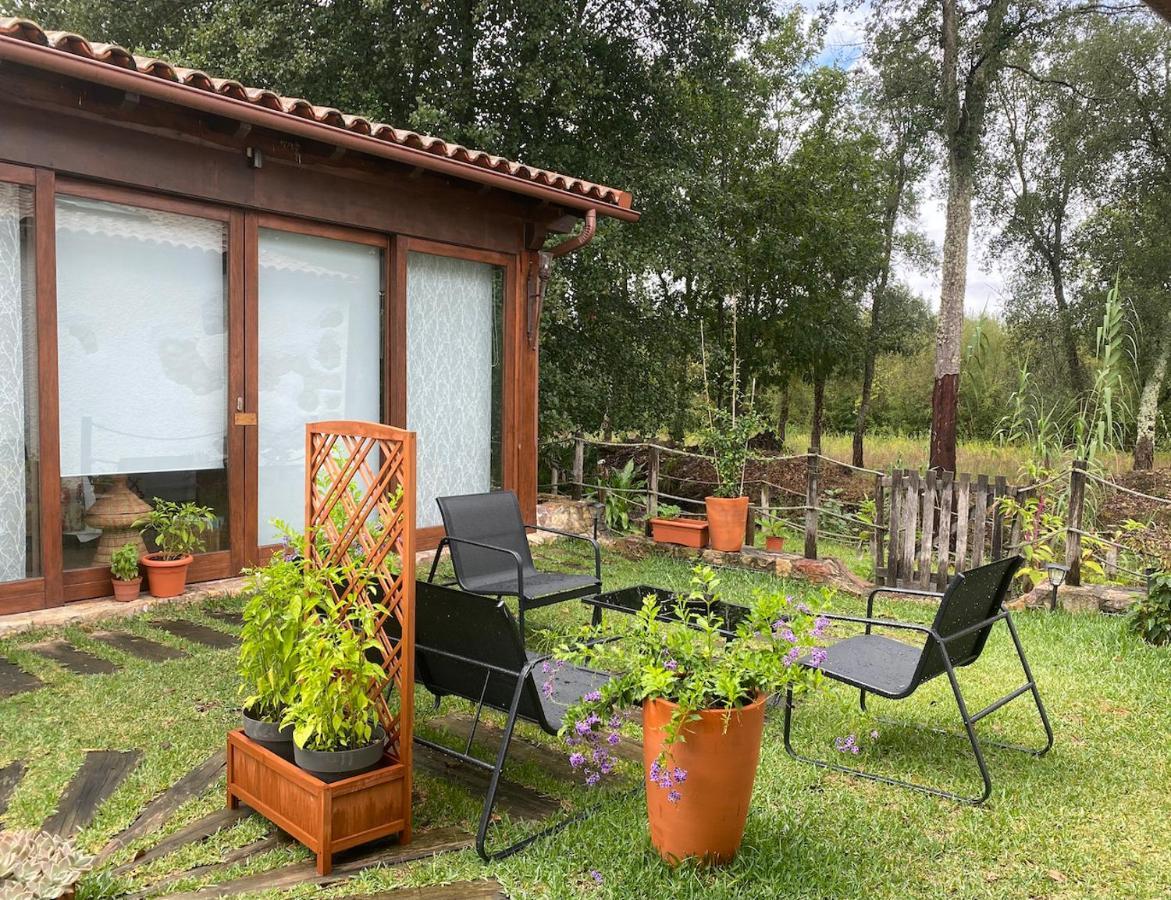 The Old Watermill Retreat - O Retiro Da Azenha Velha Apartamento Vila Nova de Poiares Exterior foto