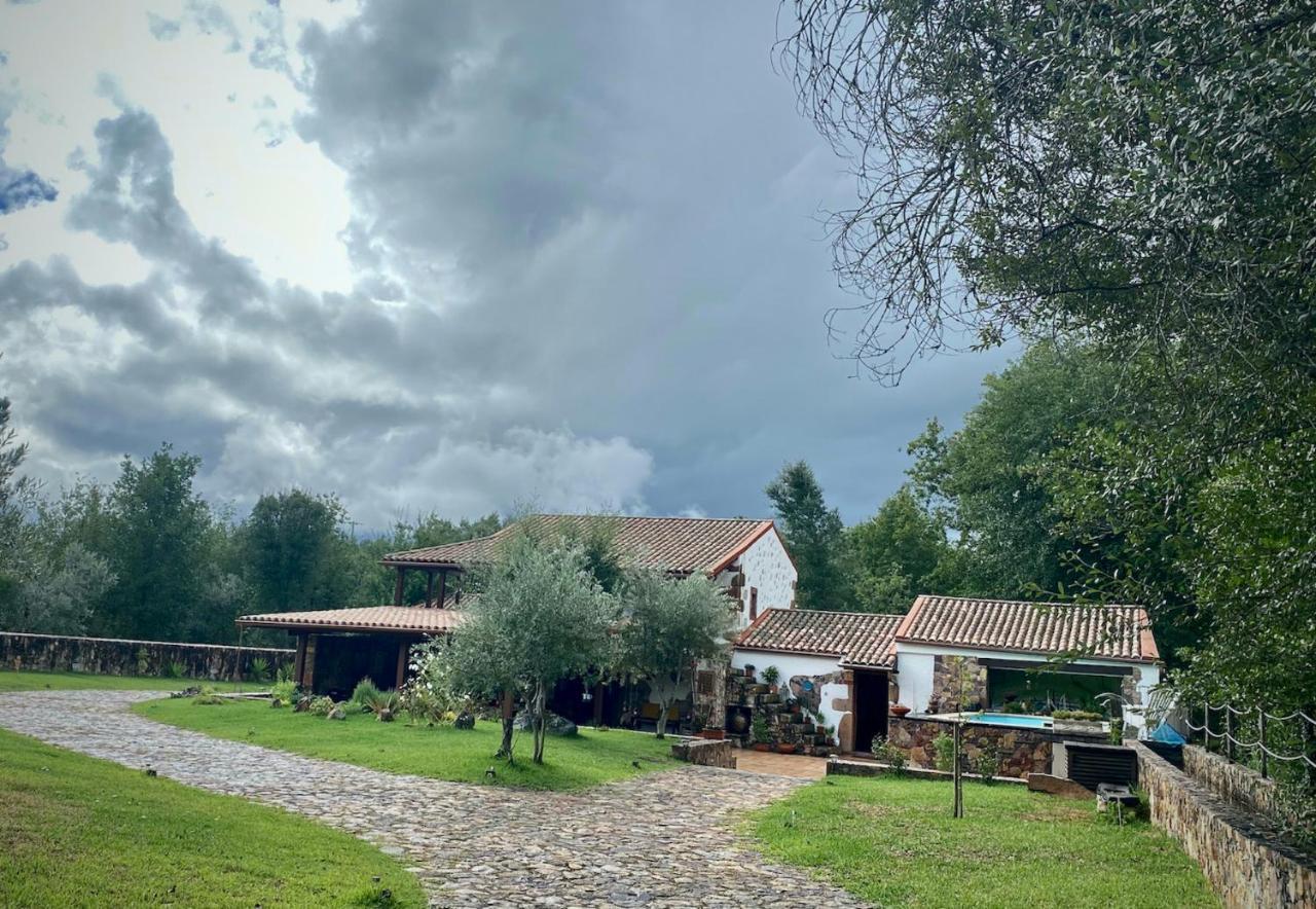 The Old Watermill Retreat - O Retiro Da Azenha Velha Apartamento Vila Nova de Poiares Exterior foto