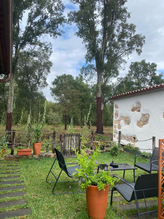 The Old Watermill Retreat - O Retiro Da Azenha Velha Apartamento Vila Nova de Poiares Exterior foto